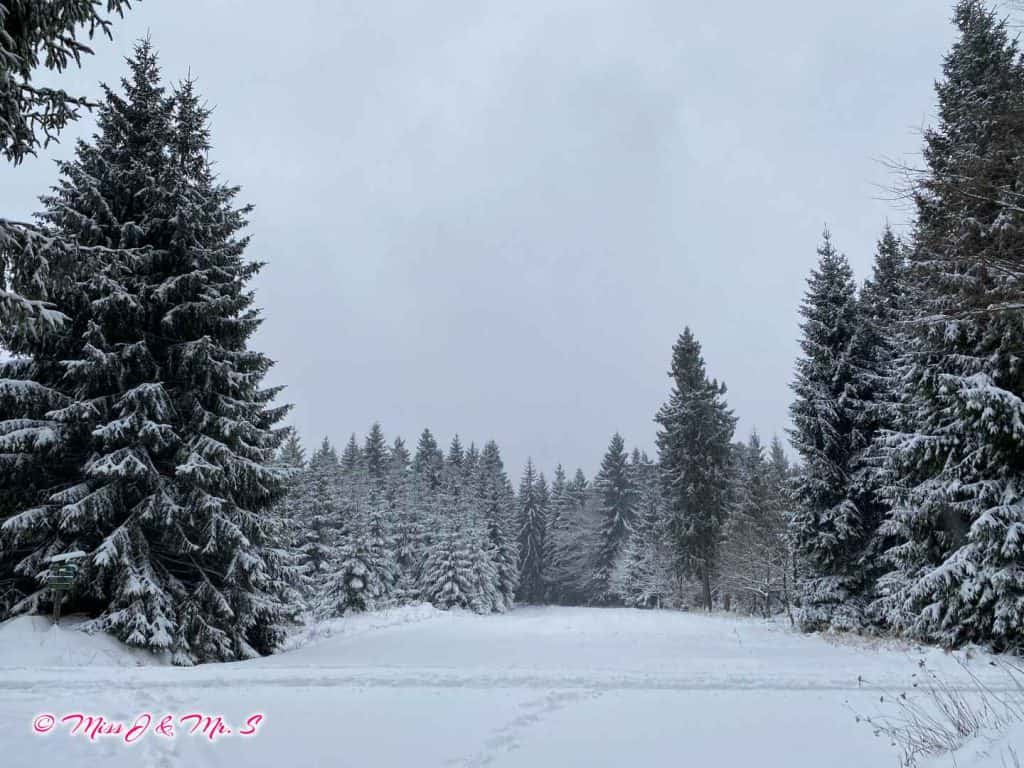 Life in Germany | 踏雪小旅行-Altenberg