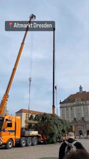 Wow, 🎄Christmas tree is here! Even now it is 20 degrees today and it doesn’t feel like as winter, but still exciting for Christmas coming. 

#MissJandMrS
#ChirstmassTree #Weihnachtsbaum #聖誕樹
#Germany #Deutschland #德國
#LifeInGermany #LebenInDeutschland #德國日常