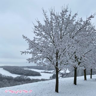 Winter Landscape / 雪景

Recent days it became a bit colder and the beautiful winter landscape appears again.

Die letzten Tage ist es wieder etwas kälter und es gibt wunderschöne Winterlandschaft.

最近幾天，德國冷了好幾度。雖然冷的要命🥶，但還是出門了，也換來了超美的雪白冬景。

#MissJandMrS 
#Ausflug #小旅行 
#Snow #Schnee #雪 #雪景 
#Winter #冬天
#Germany #Deutschland #德國
#LifeInGermany #LebenInDeutschland #德國日常